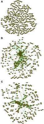 Variations of Soil Microbial Community Structures Beneath Broadleaved Forest Trees in Temperate and Subtropical Climate Zones